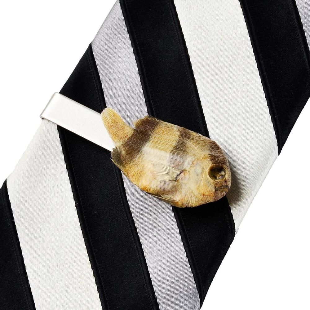 Genuine Preserved Fish Tie Clip